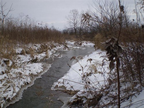 Property photo 3 - 42 Acres Offered in 3 Tracts